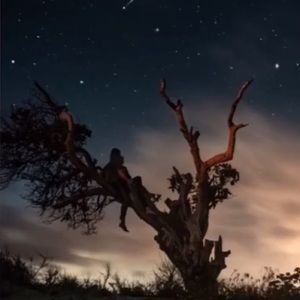 Meet your Posher, Rj